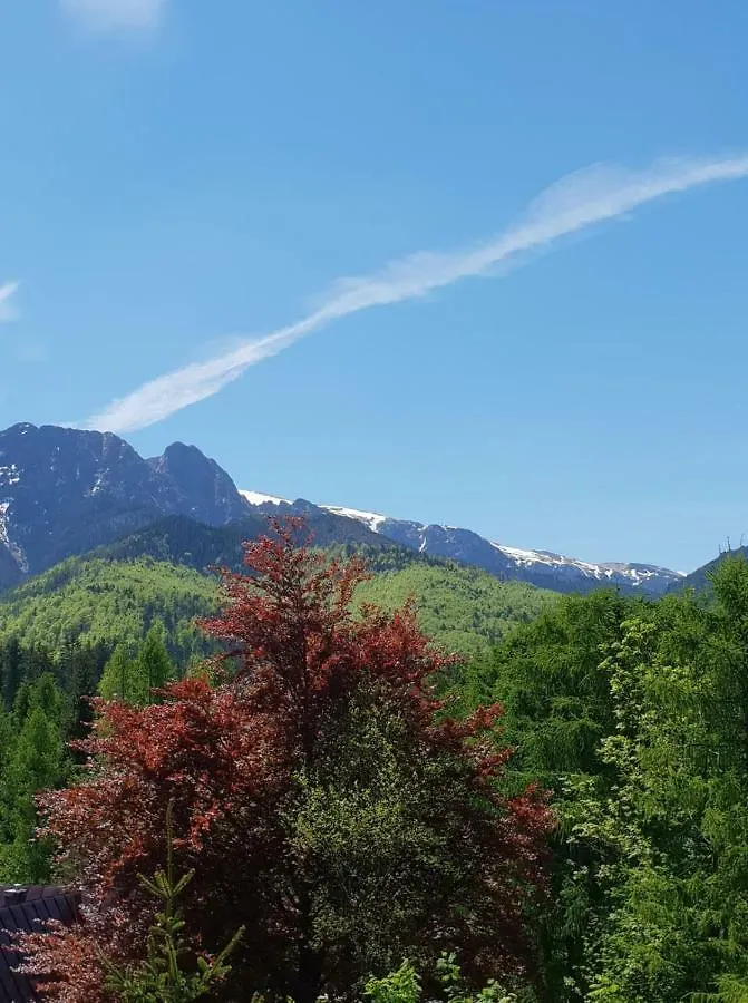 Bel-Ami Bed & Breakfast Zakopane Poland